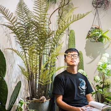 掬涵 羽葉桫欏樹大型盆景仿真植物裝飾地面落地擺件假樹禮物