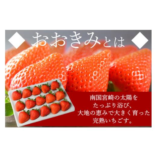 ふるさと納税 宮崎県 国富町 予約受付！＜高級いちご「おおきみ」 （15粒入り×2パック 合計約760g以上）＞2024年1月下旬〜4月末迄に順次出荷