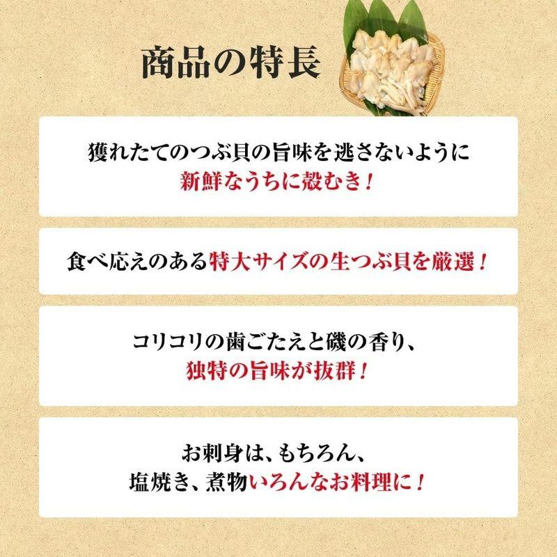 鮮度の鬼 つぶ貝 500g (14?20枚) お刺身OK ツブ貝 ばい貝 バイ貝