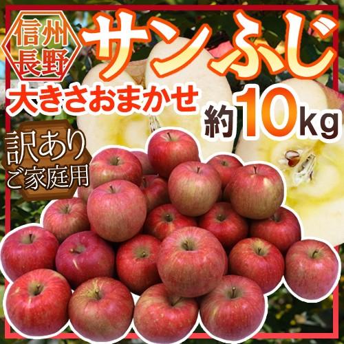 りんご 長野産 ”蜜入りサンふじ” 約10kg 訳あり 大きさおまかせ 送料無料