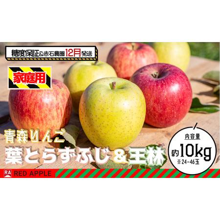 ふるさと納税 13度糖度保証 家庭用 葉とらずふじ＆王林 約10kg 青森県弘前市