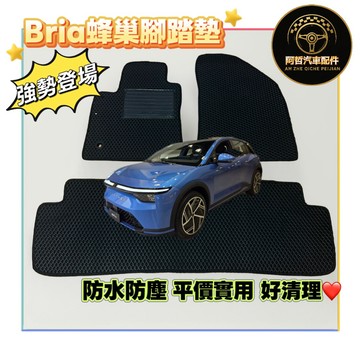 鴻華先進 Bria 蜂巢腳踏墊 全新上市 蜂巢造型 便宜實用 腳踏墊 後箱墊 鴻華 BRIA