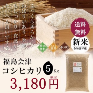 無洗米 特A  玄米 米 お米 こめ 5kg 令和4年産 1等米 送料無料 福島会津産コシヒカリ 5kg  