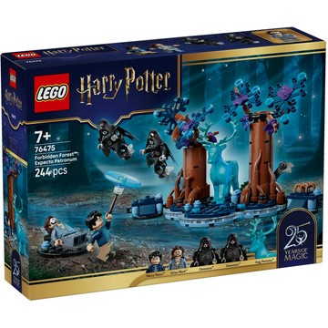 【必買站】樂高 LEGO 76475 禁忌森林：疾疾，護法現身 樂高® Harry Potter™系列