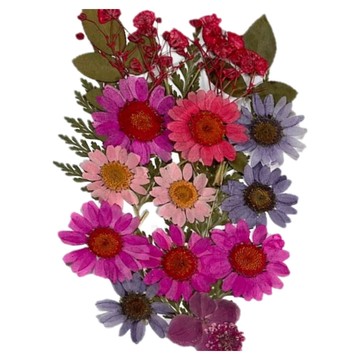 A-ONE 匯旺 真花壓花 中花包 Set 2包  花團錦簇