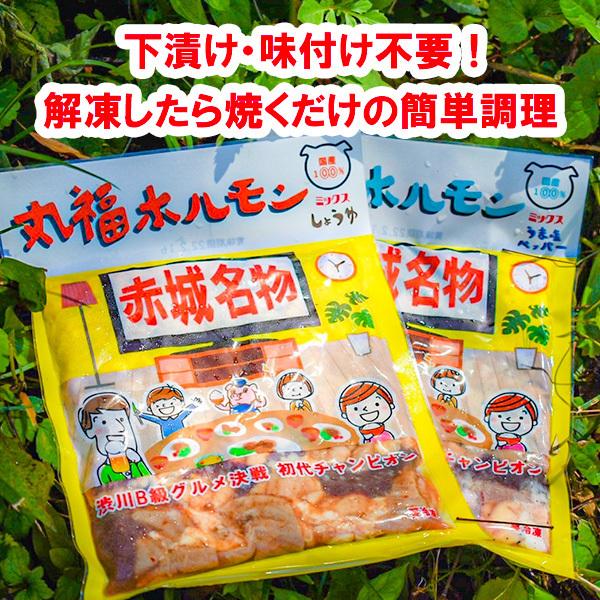 国産 豚ホルモン 焼肉 丸福ホルモン「うま塩ペッパー」200g 3袋セット 味付き ミックスホルモン ホルモン焼き キャンプ飯