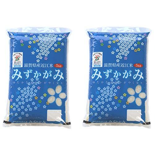 新米 みずかがみ 白米 10kg 令和5年 滋賀県産 米 お米 環境こだわり米 80