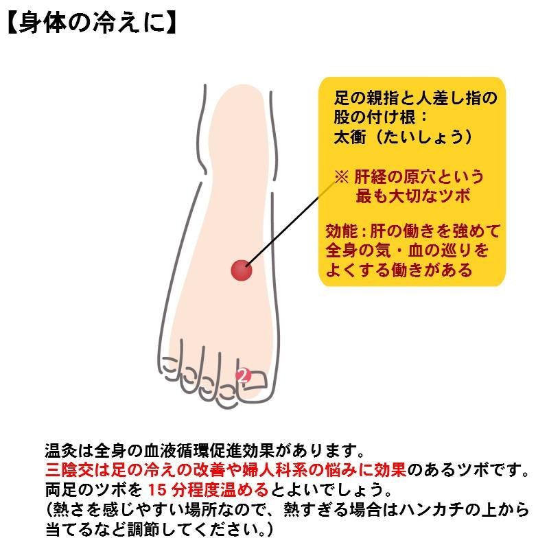 妊活 温活 邵氏温灸器セット 耳鳴り 冷え性 生理痛 むくみ 医療機器 ...