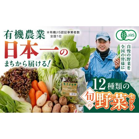 ふるさと納税 有機野菜 オーガニック 野菜 12種セット 野菜詰め合わせ 熊本県産有機野菜 山都町産有機野菜 産地直送 高原野菜 新鮮有機野菜 採れ.. 熊本県山都町