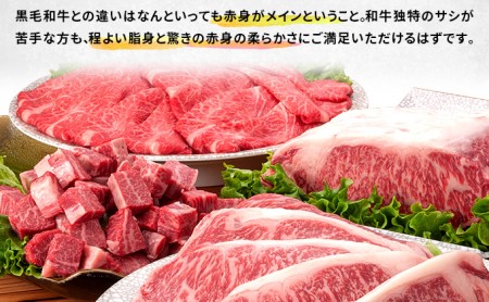 牛肉 定期便 2ヶ月 はこだて和牛 ブロック肉 2.4kg 1.2kg × 2回 和牛 あか牛 小分け 北海道 煮込み料理用