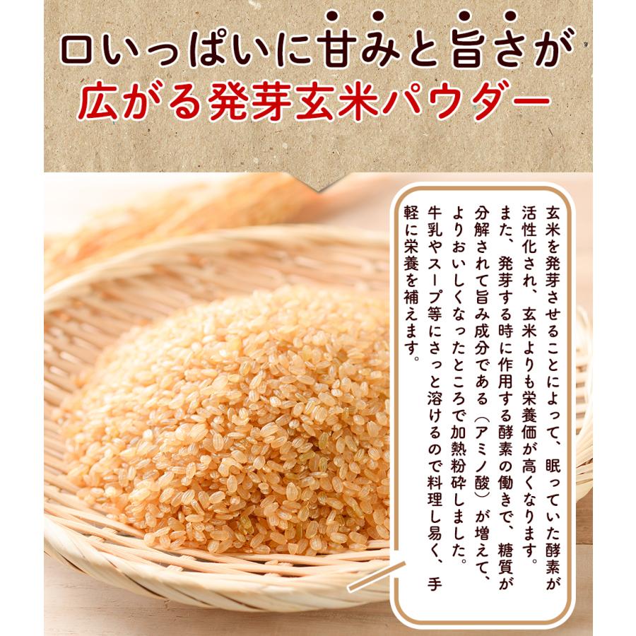 発芽玄米パウダー 100g入 無農薬・無肥料栽培米使用 本当にやさしい食べる発芽玄米粉 ネコポス便送料無料