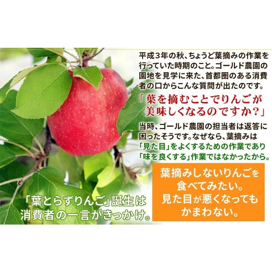 葉っぱの影は甘さのサイン贈答用(8-10玉)青森 送料無料 [※産地直送のため同梱不可]「GOLD」