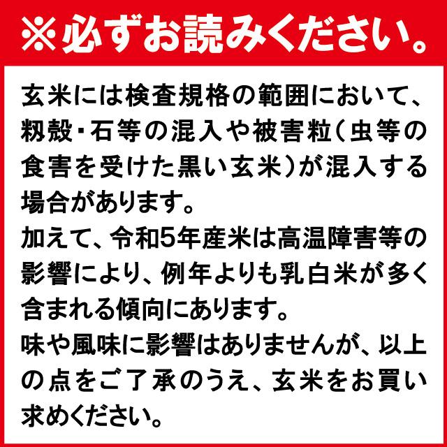 新米 ひとめぼれ 玄米 30kg 会津産 令和5年産 お米 ※九州は送料別途500円・沖縄は送料別途2500円