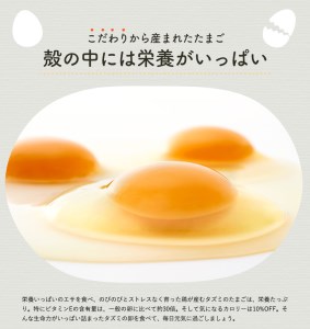097AB01N.タズミの卵Ｌサイズ（30個×12ヶ月）