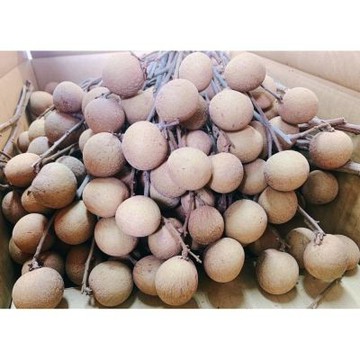 頂級 香Q 大顆粒 龍眼 1+1袋｜台灣頂級龍眼
