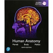 [華通書坊]Human Anatomy 9/E Marieb 9781292314471