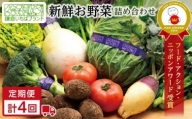 四季を味わえる「鎌倉いちばブランド」新鮮お野菜詰め合わせセット