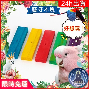 【寵物覺醒24h出貨】鸚鵡玩具磨牙木塊倉鼠黃金鼠三線鼠老公公鼠一線鼠蜜袋鼯倉鼠用品倉鼠玩具