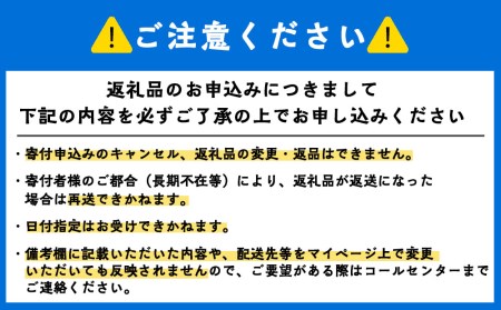 いかの一夜干し×3パック＜利尻漁業協同組合＞