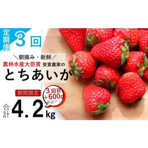 ふるさと納税 栃木県 真岡市 定期便 3回 いちごっぱなし 旬のいちご とちあいか  真岡市 栃木県 いちご日本一 農林水産大臣賞 最多獲得 苺 人気…