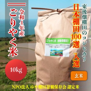 (1233)お米　こしひかり　10kg　　　「ごりやく米」　棚田米　東後畑　玄米