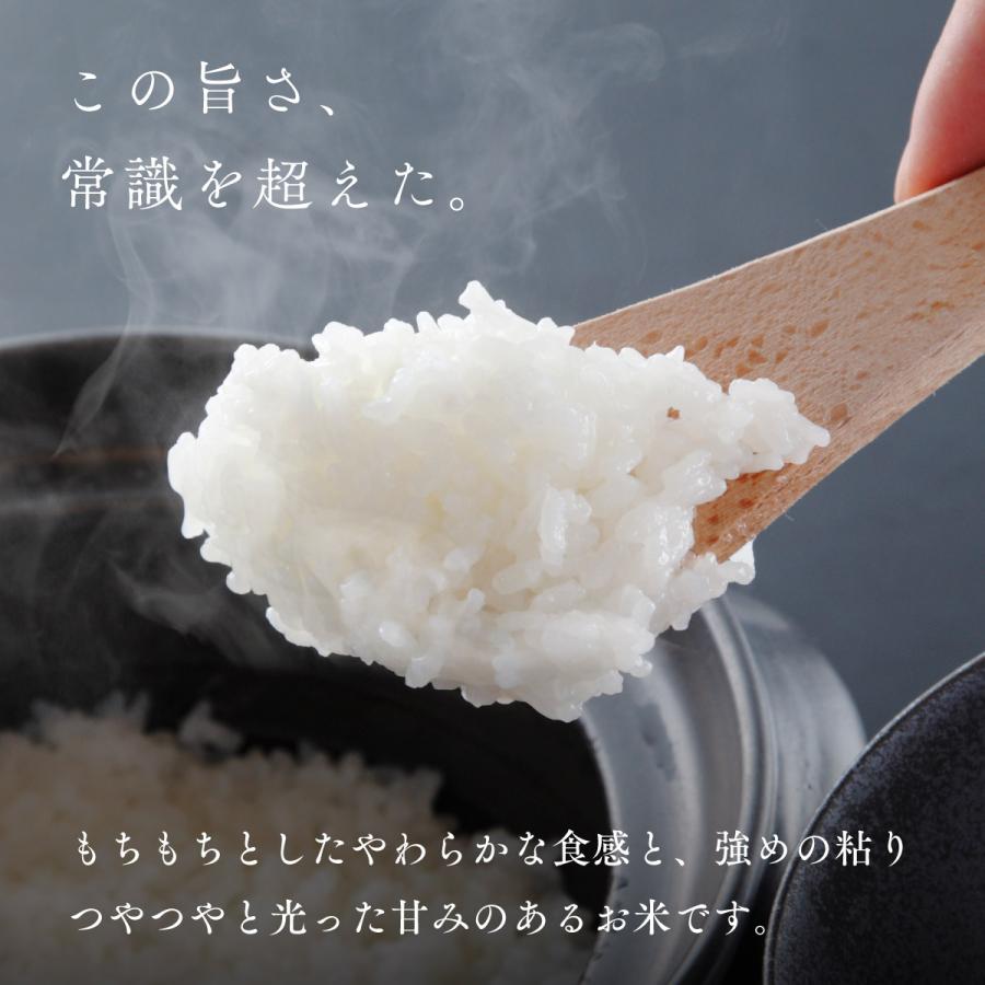 新米 無洗米 ゆめぴりか 10kg 5kg×2袋 北海道産 白米 令和5年産 米 お米 送料無料 真空パックに変更可