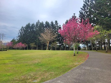 E.近渴望村優美祕境農地、多筆可選｜桃園市龍潭區泥橋段