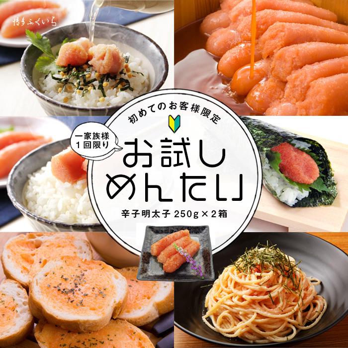 明太子初回限定・送料無料 お試し明太 250g×2箱） めんたいこ 訳あり 格安 辛子明太子 グルメ 博多ふくいち