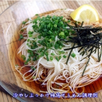 佐賀県特産品 神埼そうめん 17入 つゆ付 (H014109)