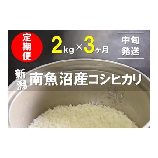 ふるさと納税 新潟県 南魚沼市 2kg×3ヶ月　南魚沼産コシヒカリ　うちやま農園米