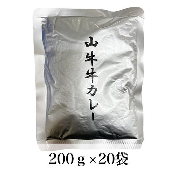 宮崎県産牛100％ ビーフカレー 200g×20食 国産 レトルト カレー 常温保存