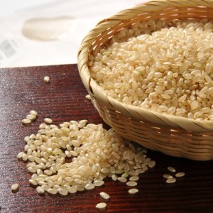 那珂川の清流ホタル米　玄米30kg 検査1等米令和4年産コシヒカリ　(玄米)