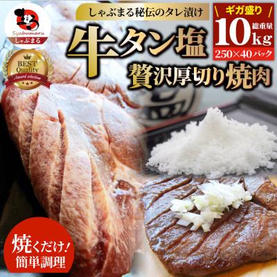 ふるさと納税 三木町 牛タン焼肉 秘伝の塩ダレ漬け 総重量 10kg(250g×40)《専門店の味》