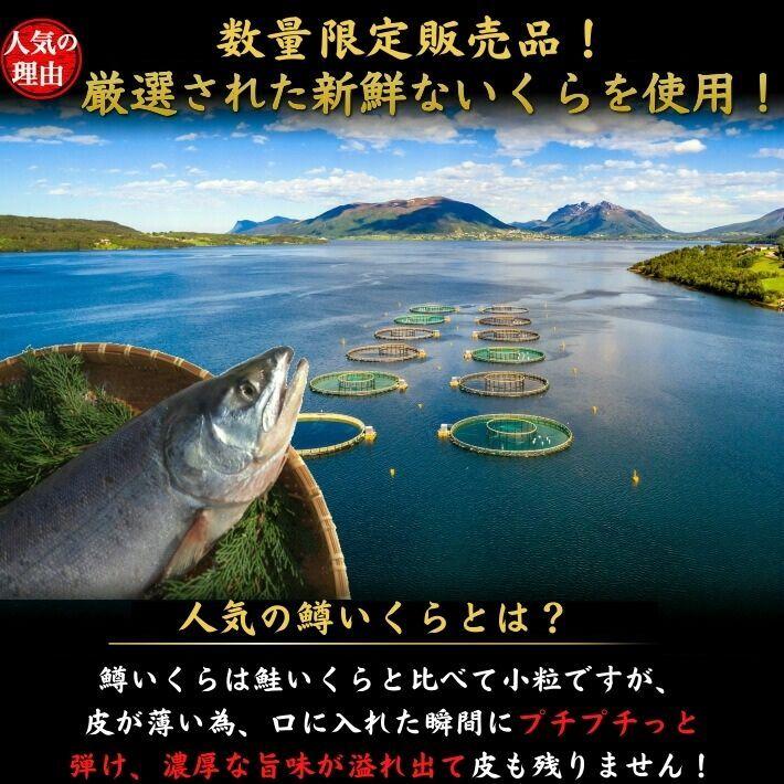 特選 鱒いくら 醤油漬け 500gトラウトサーモン ギフト 海鮮 贈答