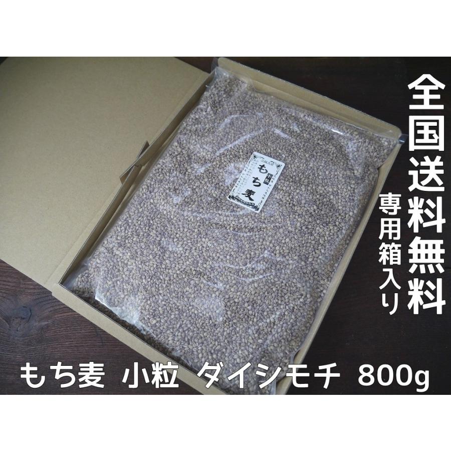 もち麦 小粒 ダイシモチ（800g）送料無料