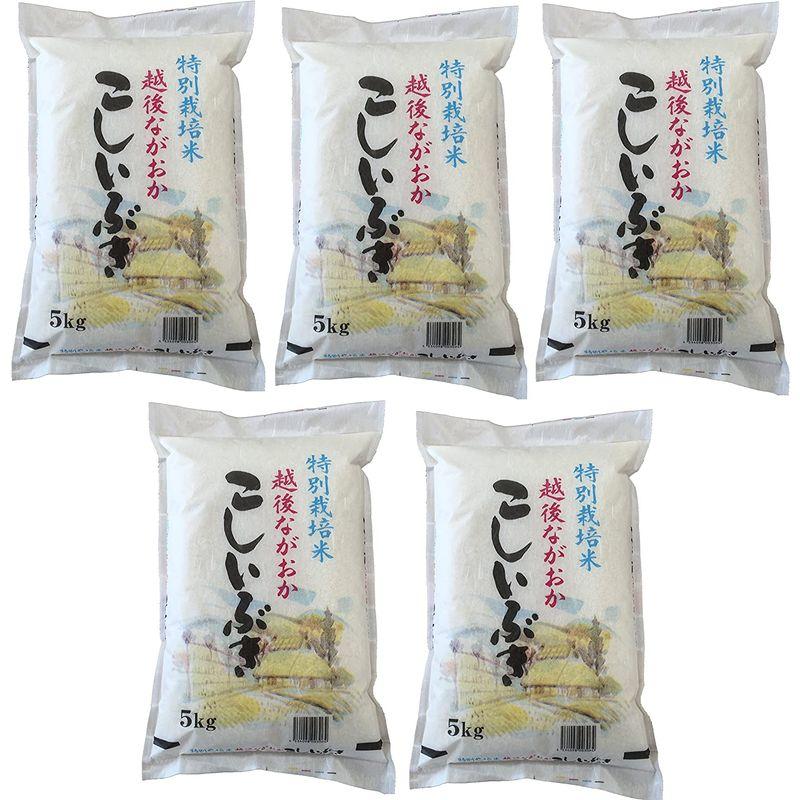 新米 精白米 25kg 令和4年産 新潟県産 こしいぶき 安心安全な特別栽培米 (5kg×5)