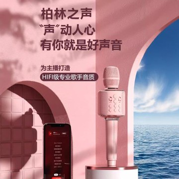 柏林之聲話筒音響一體麥克風無線藍牙全民K歌KTV唱歌手機電視專用