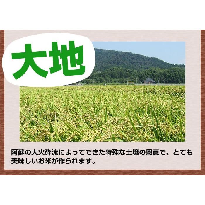 米 送料無料 森のくまさん 令和5年産 熊本県産 玄米30kg