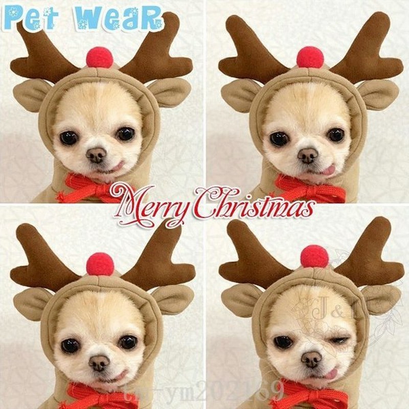 クリスマス犬服犬の服秋春冬ドッグウェア猫服つなぎペット服かわいい用品インスタ映え柴犬キャットウェア小型犬中型犬防寒安い 通販 Lineポイント最大get Lineショッピング