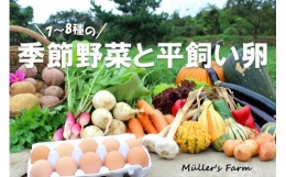 季節の野菜詰め合わせ（7～8種）と平飼い卵セット！農薬不使用だから安心安全！