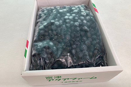 富津アクアファーム　冷凍ブルーベリー1.5kg