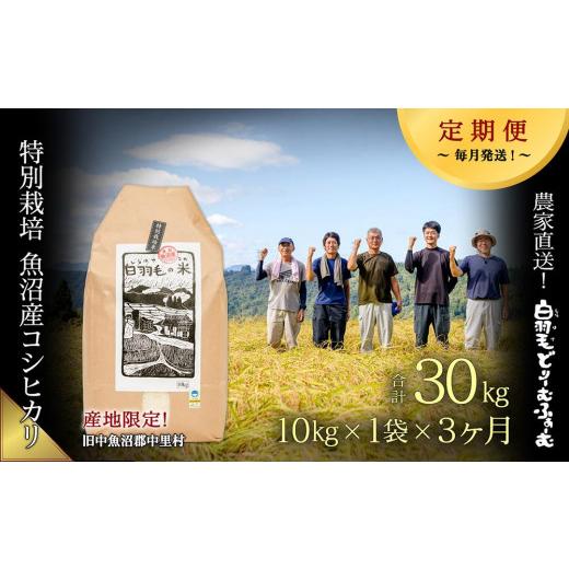 ふるさと納税 新潟県 十日町市 ≪令和5年産≫農家直送！魚沼産コシヒカリ特別栽培「白羽毛の米」精米(10kg×1袋)×3回 30kg