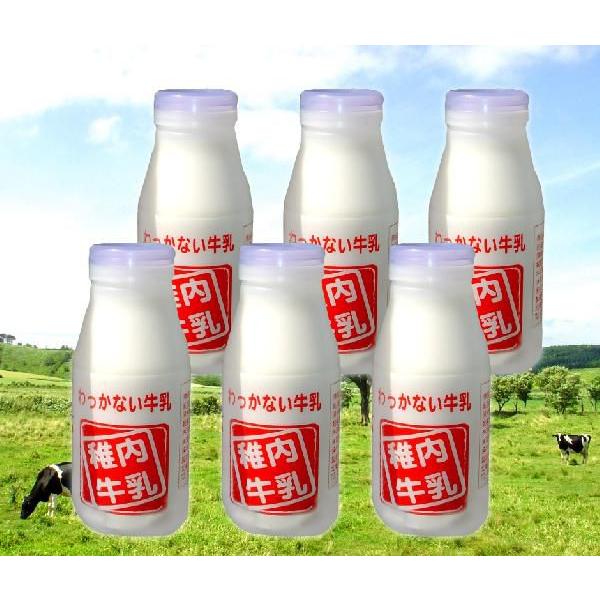 稚内牛乳 ノンホモ ミルク 北海道 低温殺菌法 コク 牛乳 200ml ×6本