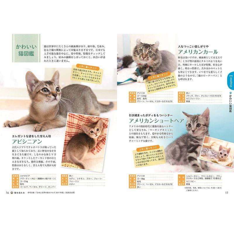 はじめてでも安心幸せに暮らす猫の飼い方