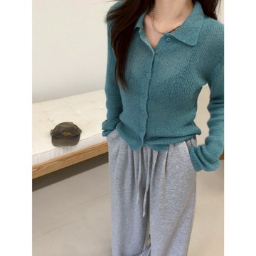 【太妮絲CS40】現貨韓系 翻領 排扣 溫柔風 百搭 長袖針織 針織外套 罩衫 薄搭小外套上衣女 湖藍色 韓國 chic