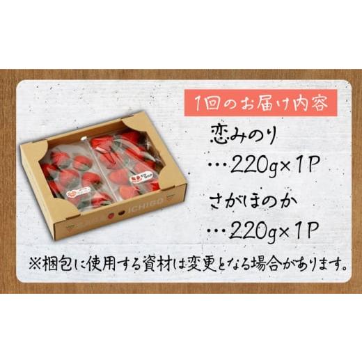 ふるさと納税 佐賀県 白石町 食べ比べ！恋みのり＆さがほのか 赤いちご 定期便 [IBH008]