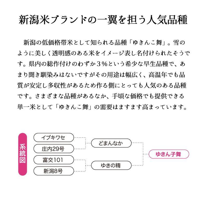 新米 10kg ゆきん子舞 お米 10キロ 令和5年産 新潟県産 産直 精米 白米 送料無料