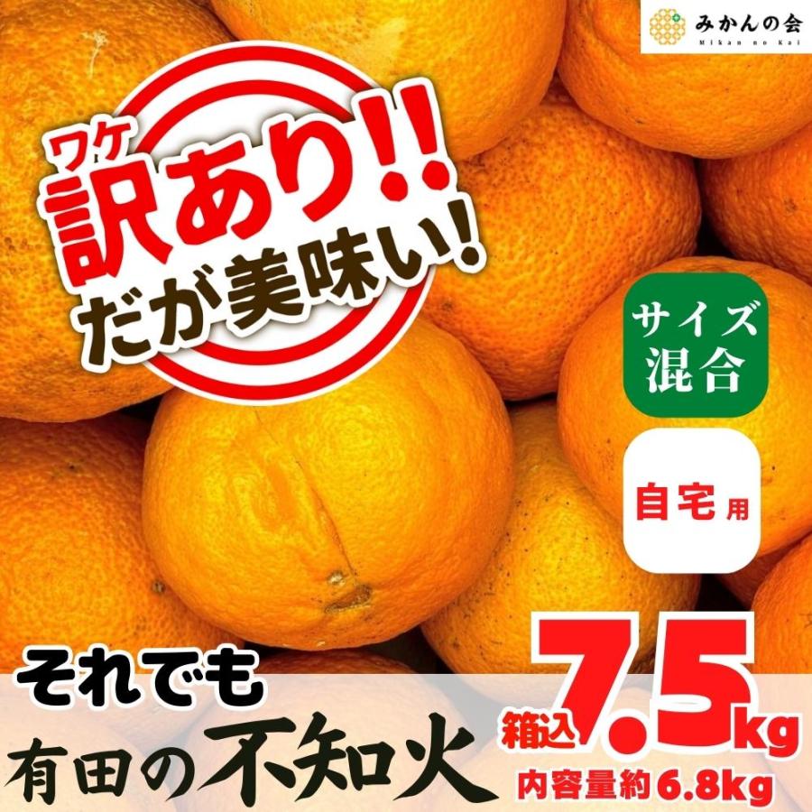 訳あり それでも 不知火 (しらぬい) 箱込 7.5kg (内容量約6.8kg) サイズミックス 和歌山県産 産地直送 