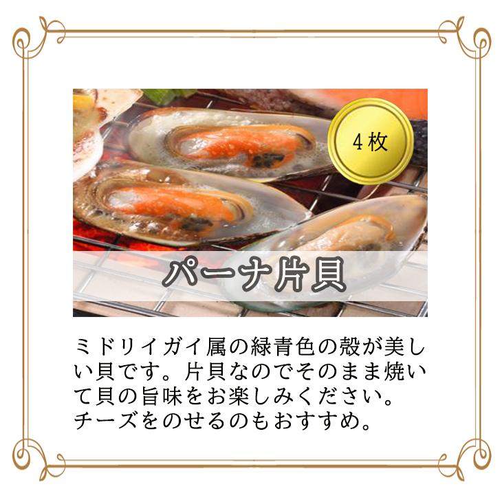 北海道産 海鮮焼き ご当地 サーモンステーキ 帆立 いか 海の幸 海鮮焼き詰合せ 産地直送 送料無料 ギフト お祝い FUJI 父の日 2023