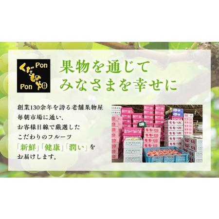 ふるさと納税 フルーツ定期便 丸亀市のいいとこどり定期便シャインマスカット 桃 ピオーネ いちご みかん さぬきひめ 定期配送 頒布会 香川県丸亀市